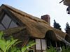gal/The Parsonage, Herefordshire/_thb_mini-The Parsonage, Herefodshire (1).JPG